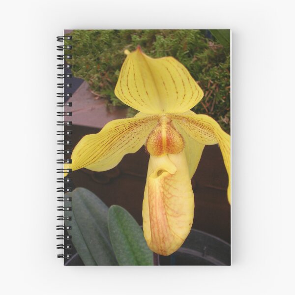 Item preview, Yellow Lady's Slipper Orchid designed and sold by lezvee.
