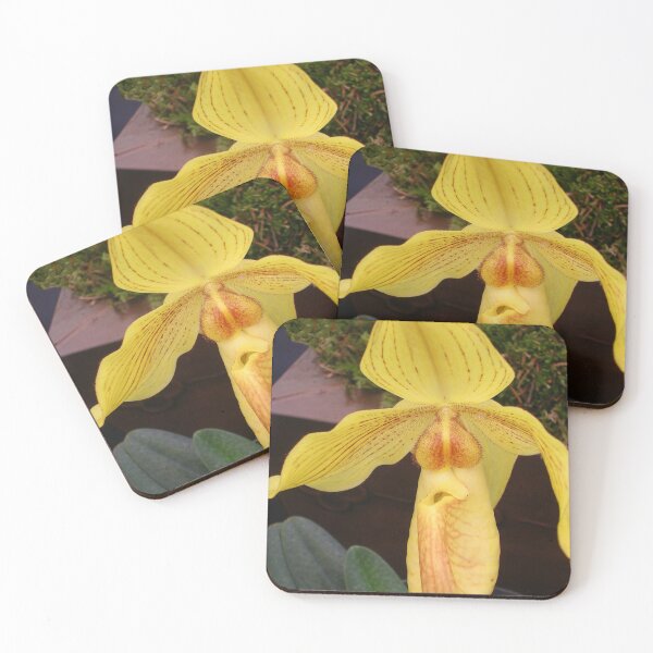 Item preview, Yellow Lady's Slipper Orchid designed and sold by lezvee.