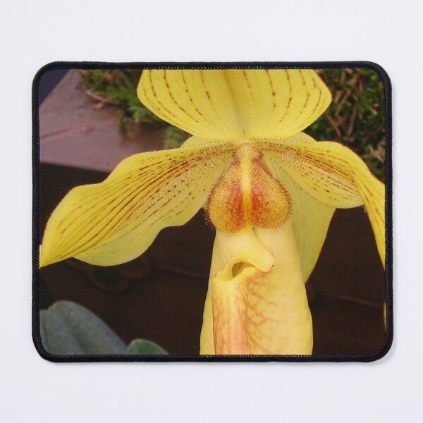 Item preview, Yellow Lady's Slipper Orchid designed and sold by lezvee.