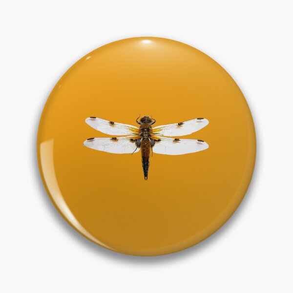 Item preview, The Four Spot Skimmer Dragonfly Vector Design designed and sold by taiche.