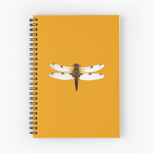 Item preview, The Four Spot Skimmer Dragonfly Vector Design designed and sold by taiche.