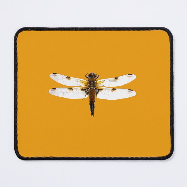 Item preview, The Four Spot Skimmer Dragonfly Vector Design designed and sold by taiche.