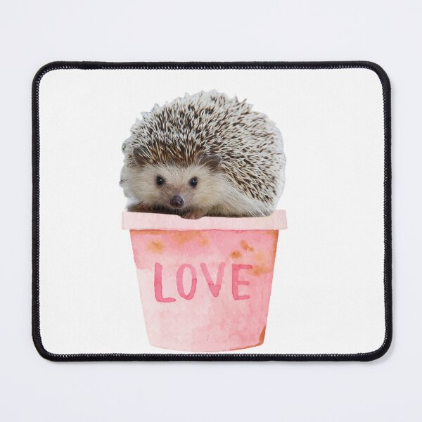 Item preview, Hedgehog Flowerpot-Hedgies designed and sold by DiensDesign.