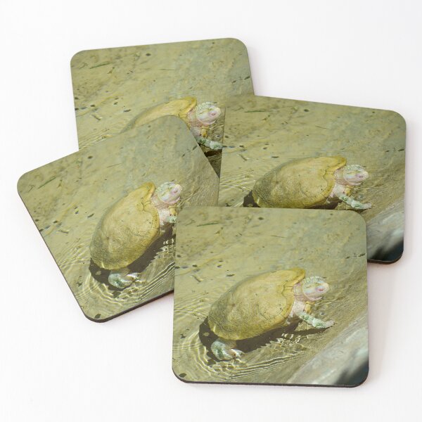 Item preview, Albino Red Eared Slider Turtle designed and sold by MercerImages.