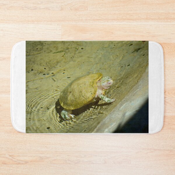 Item preview, Albino Red Eared Slider Turtle designed and sold by MercerImages.