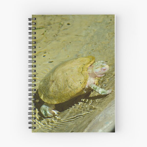Item preview, Albino Red Eared Slider Turtle designed and sold by MercerImages.