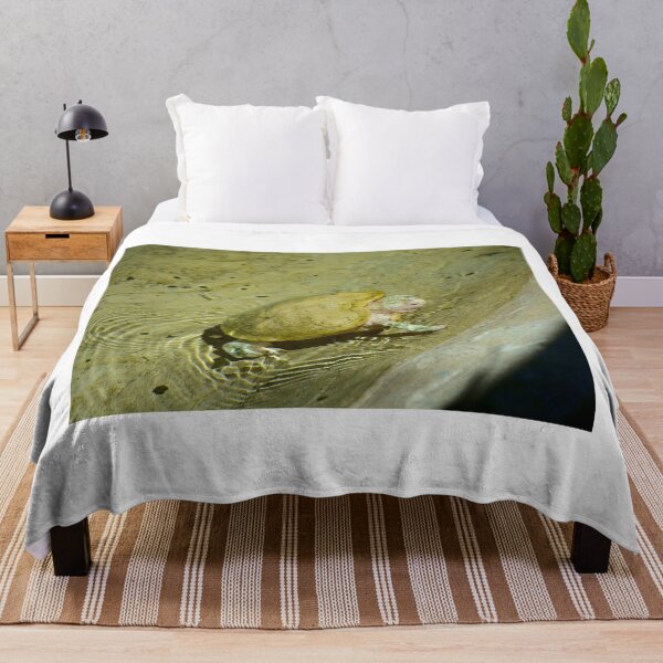 Item preview, Albino Red Eared Slider Turtle designed and sold by MercerImages.