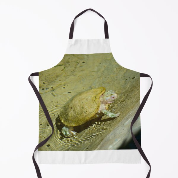 Item preview, Albino Red Eared Slider Turtle designed and sold by MercerImages.
