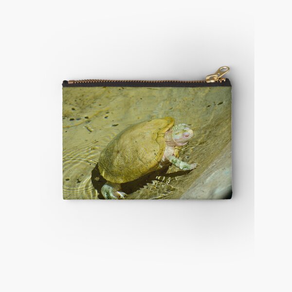 Item preview, Albino Red Eared Slider Turtle designed and sold by MercerImages.