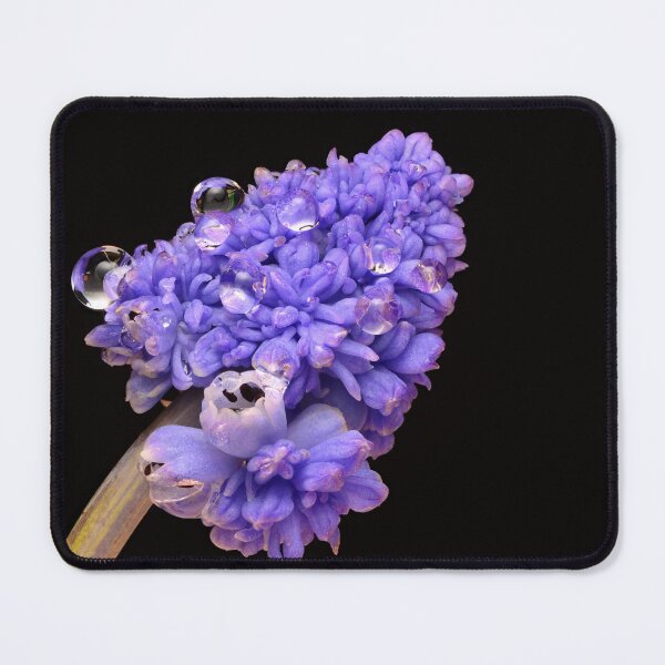 Item preview, Blue Bloom Macro Photography Print Water Drops designed and sold by Goiko7Margarita.