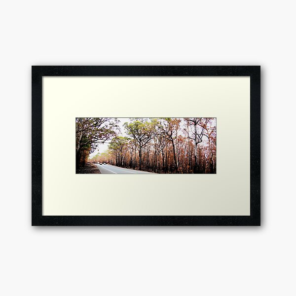 Item preview, 2019/2020 Australian Black Summer Bushfires  designed and sold by Gene Fisher.