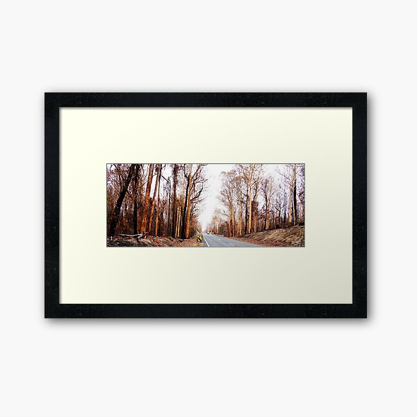 Item preview, 2019/2020 Australian Black Summer Bushfires  designed and sold by Gene Fisher.
