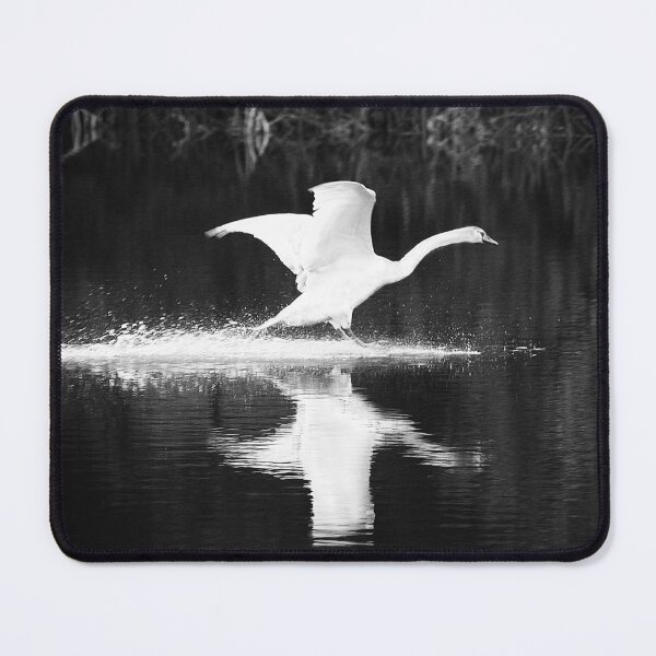 Item preview, first alight designed and sold by Murph's Images.