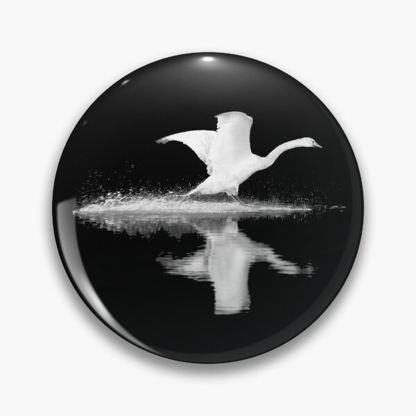 Item preview, first alight designed and sold by Murph's Images.