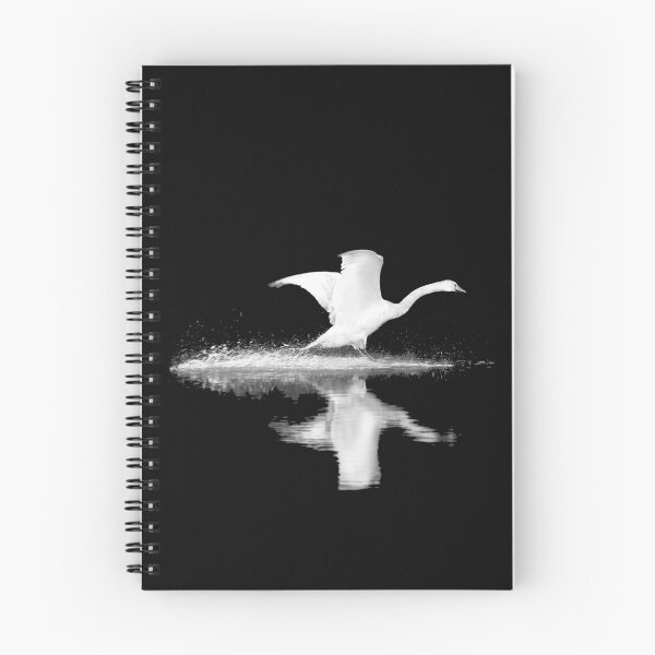 Item preview, first alight designed and sold by Murph's Images.