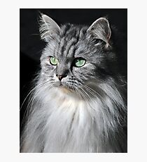 I AM NOT AMUSED Photographic Print