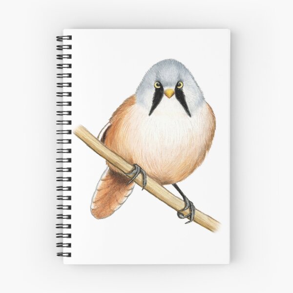 Item preview, Bearded Tit (Bearded Reedling) designed and sold by Holly Grogan Art.