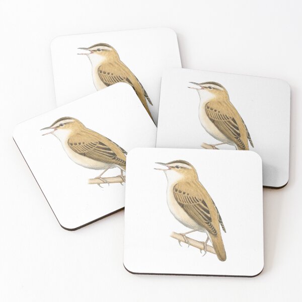 Item preview, Sedge Warbler designed and sold by Holly Grogan Art.