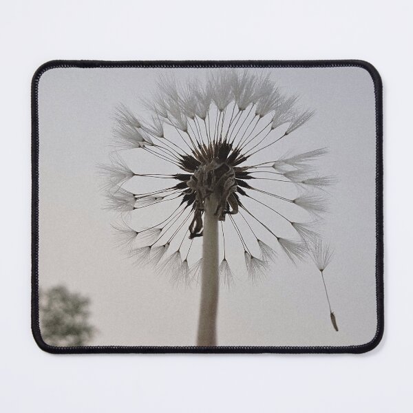Item preview, Bloom Where You Are Planted designed and sold by Debbie Center.