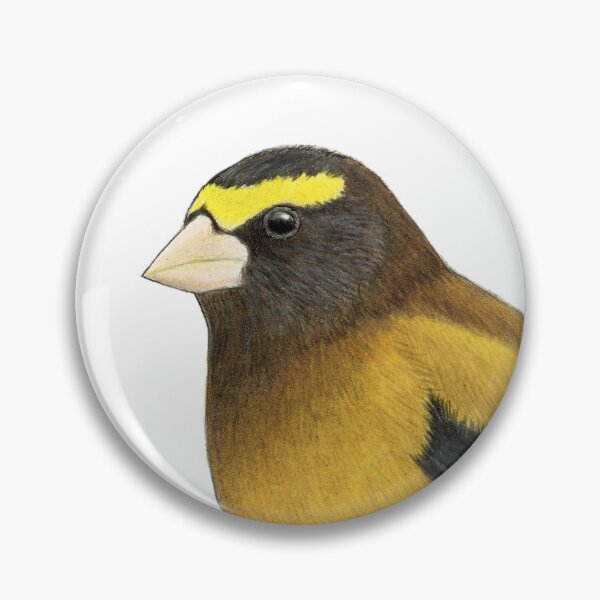 Item preview, Evening Grosbeak designed and sold by Holly Grogan Art.