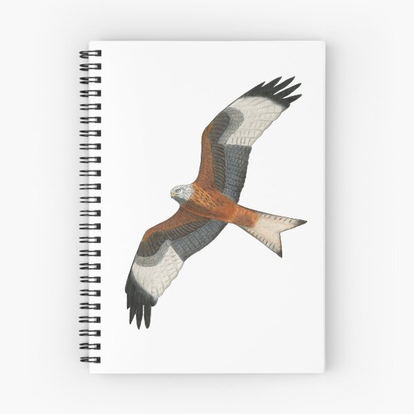 Item preview, Red Kite designed and sold by Holly Grogan Art.