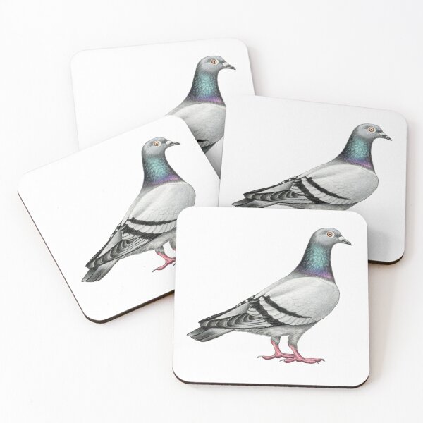 Item preview, Pigeon - Rock Dove designed and sold by Holly Grogan Art.