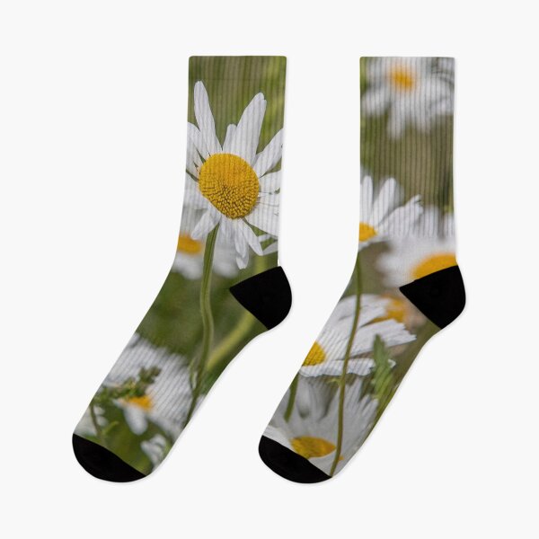 Item preview, White and Yellow flora designed and sold by Dave Hare Photography.