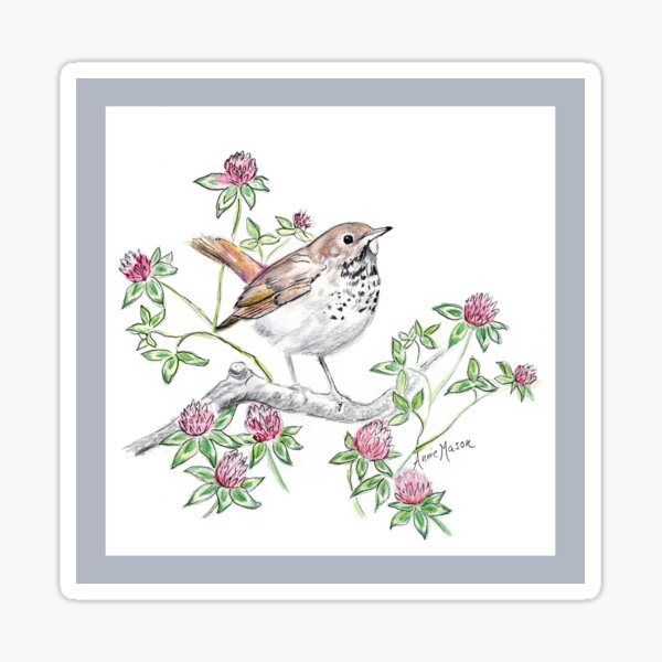 Vermont - state bird and flower Sticker