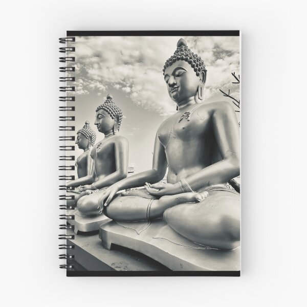 Item preview, Majestic Buddha Statues in Row - Black and White Photograph designed and sold by KCMagrath.