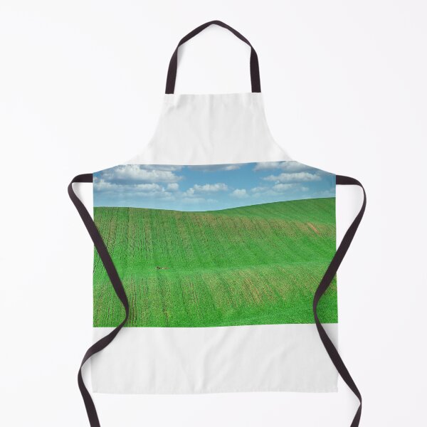Item preview, Wild rabbits run across the green wheat field, Moravia landscape at spring, Chech Republic designed and sold by goceris.