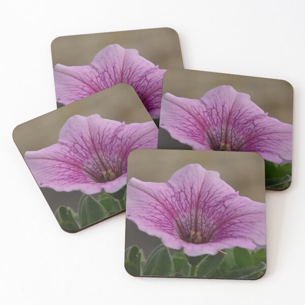 Item preview, Pink Petunia designed and sold by alex987854.