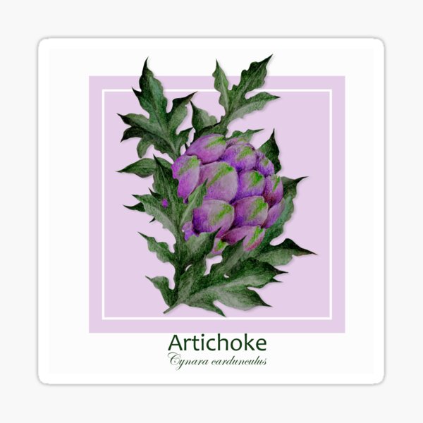 Artikel-Vorschau von Artischocke (Cynara cardunculus), designt und verkauft von Art_By_Wing.