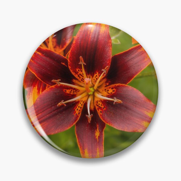 Item preview, Orange and Black Lily designed and sold by Robert Lynch.
