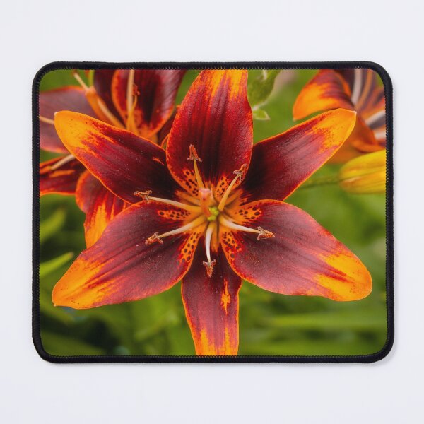 Item preview, Orange and Black Lily designed and sold by Robert Lynch.