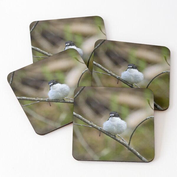 Item preview, Downball. European pied flycatcher designed and sold by Jouko Lehto Photography.