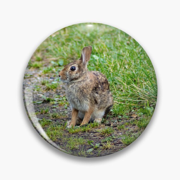 Item preview, Wild Hare designed and sold by Robert Lynch.