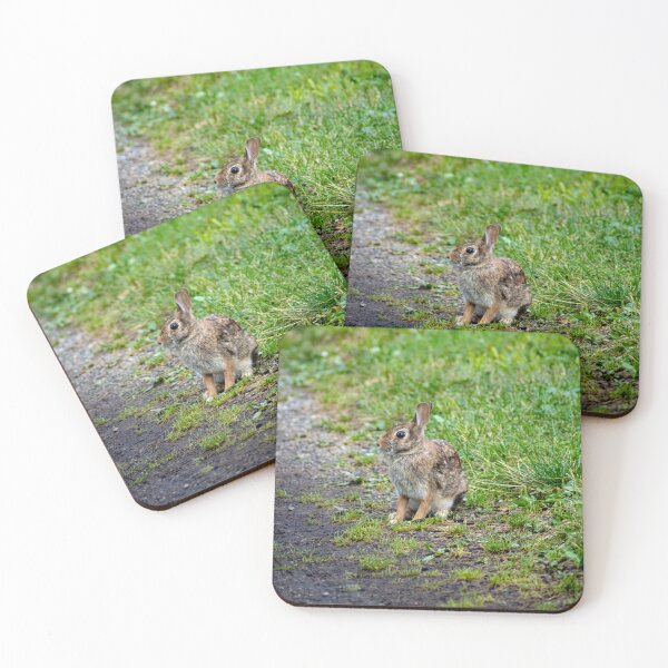 Item preview, Wild Hare designed and sold by Robert Lynch.