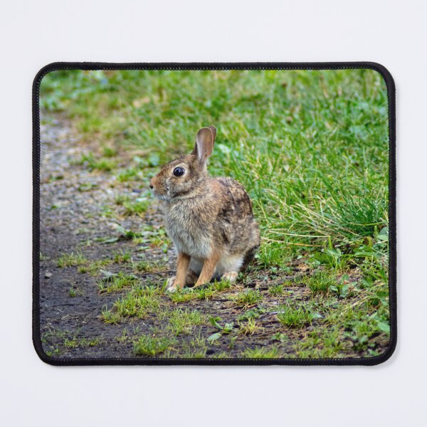 Item preview, Wild Hare designed and sold by Robert Lynch.