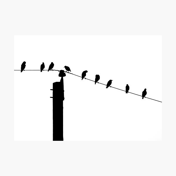 Item preview, Birds on a Wire designed and sold by Robert Lynch.