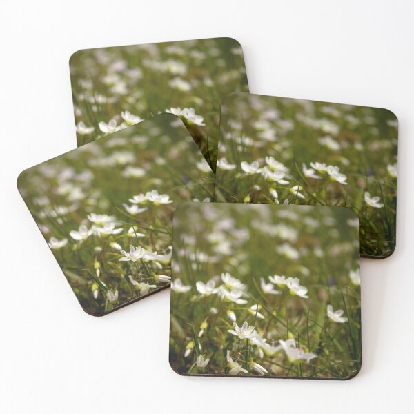 Item preview, More white flowers designed and sold by Robert Lynch.
