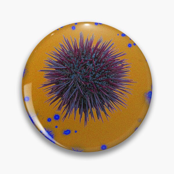 Item preview, Urchin designed and sold by Coyote_Robbins.