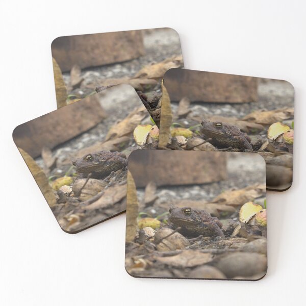 Item preview, American Toad designed and sold by RiverRatSkippy.