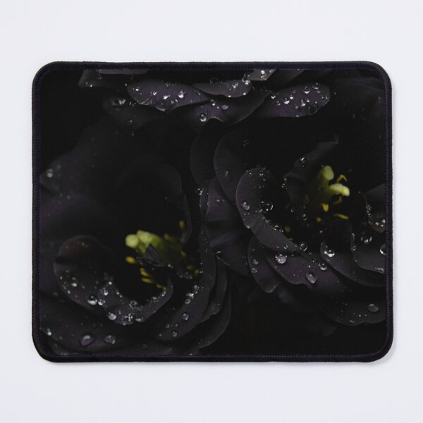 Item preview, Dramatic Black Lisianthus (Eustoma) Flowers – Moody Botanical Art Print designed and sold by ArtiQreate.