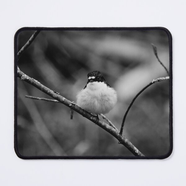 Item preview, Downball. European pied flycatcher bw designed and sold by Jouko Lehto Photography.