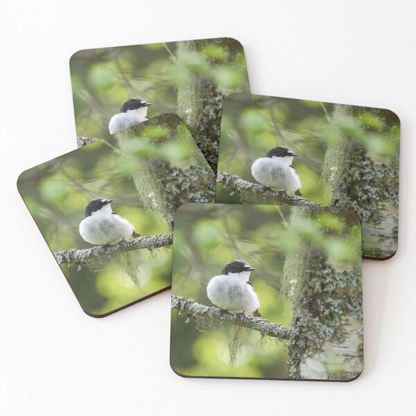 Item preview, Light greens of early summer. European pied flycatcher designed and sold by Jouko Lehto Photography.