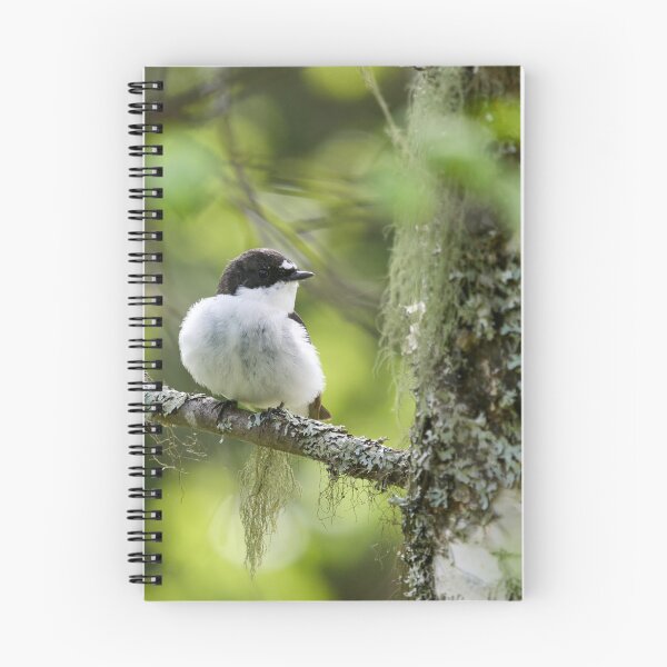 Item preview, Light greens of early summer. European pied flycatcher designed and sold by Jouko Lehto Photography.