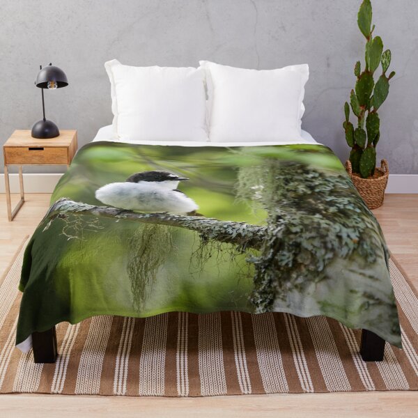 Item preview, Light greens of early summer. European pied flycatcher designed and sold by Jouko Lehto Photography.