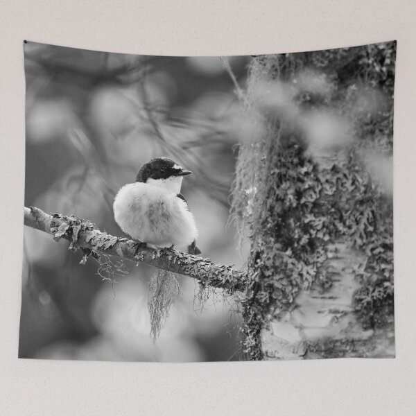 Item preview, Light greens of early summer. European pied flycatcher bw designed and sold by Jouko Lehto Photography.