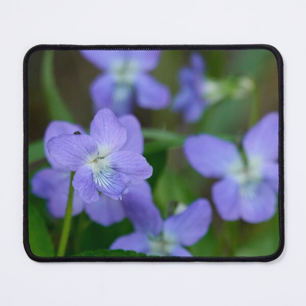 Item preview, The purple beauty. Wood violet designed and sold by Jouko Lehto Photography.