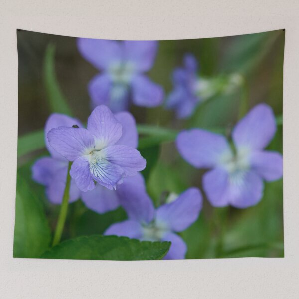 Item preview, The purple beauty. Wood violet designed and sold by Jouko Lehto Photography.